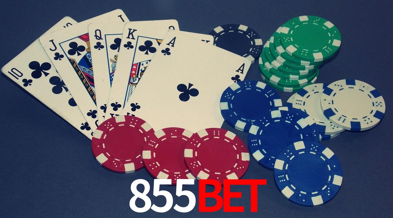 Player Reviews 855Bet