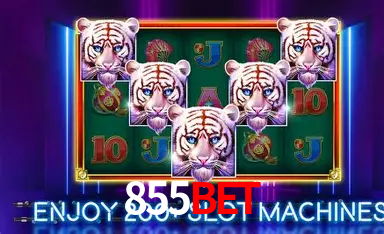 855Bet Pagamento Seguro SSL